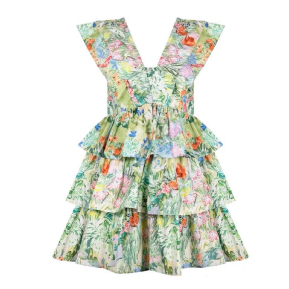 NWT Hunter Bell Pamela Garden Party Floral Dress Sz 2 - Picture 3 of 12